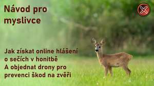 Obrázek z Facebooku